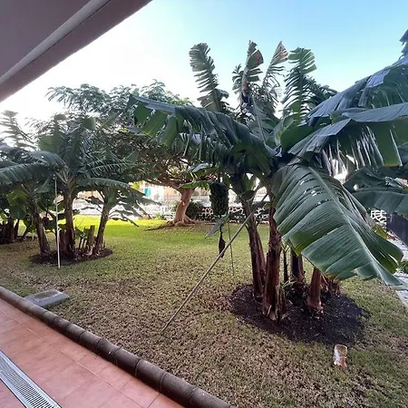 Appartamento Seaview Cactus Playa del Inglés